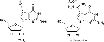 Graphical abstract: A short and efficient synthesis of the tRNAnucleosidesPreQ0 and archaeosine