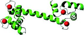 Graphical abstract: Multiple calcium binding sites make calmodulin multifunctional