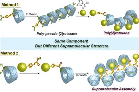 Graphical abstract: Formation of supramolecular isomers; poly[2]rotaxane and supramolecular assembly