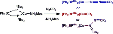 Graphical abstract: Diazoalkanes react with a bis(phosphino)borate copper(i) source to generate [Ph2BPtBu2]Cu(η1-N2CR2), [Ph2BPtBu2]Cu(CPh2), and [Ph2BPtBu2]Cu–N(CPh2)(NCPh2)