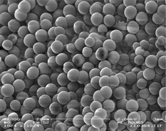 Graphical abstract: Detection of degradation products of chemical warfare agents by highly porous molecularly imprinted microspheres