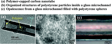 Graphical abstract: Room-temperature, open-air, wet intercalation of liquids, surfactants, polymers and nanoparticles within nanotubes and microchannels