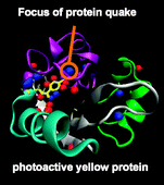 Graphical abstract: Stress tensor analysis of the protein quake of photoactive yellow protein