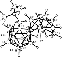 Graphical abstract: Macropolyhedral boron-containing cluster chemistry. Synthesis of the nineteen vertex monocarbaborane [9-(terBuNH2)-(anti)-9-CB18H20] by direct carbon-atom Aufbau