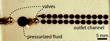 Graphical abstract: Pumping fluids in microfluidic systems using the elastic deformation of poly(dimethylsiloxane)