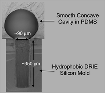 Graphical abstract: Microfabrication of cavities in polydimethylsiloxane using DRIE silicon molds
