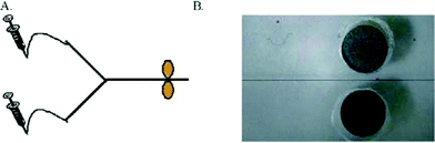 Graphical abstract: Measuring reaction rates on single particles in a microfluidic device