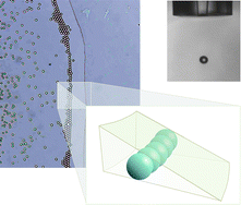Graphical abstract: The preferential deposition of silica micro-particles at the boundary of inkjet printed droplets