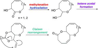 Graphical abstract: The Claisen rearrangement approach to fused bicyclic medium-ring oxacycles