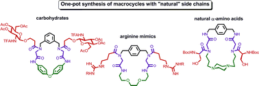 Graphical abstract: Rapid generation of macrocycles with natural-product-like side chains by multiple multicomponent macrocyclizations (MiBs)