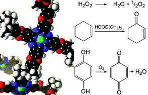 Graphical abstract: Catalysis by microporous phthalocyanine and porphyrin network polymers