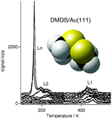 Graphical abstract: Methylthiolate on Au(111): adsorption and desorption kinetics