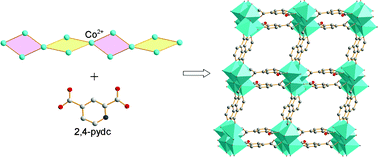 Graphical abstract: Constructing porous frameworks from one-dimensional cobalt–oxygen clusters and pyridinedicarboxylate ligands adopting two rare coordination modes