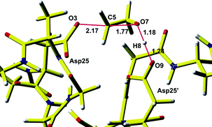 Graphical abstract: Theoretical study on the mechanism of a ring-opening reaction of oxirane by the active-site aspartic dyad of HIV-1 protease