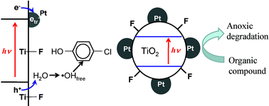 Graphical abstract: Synergic effect of simultaneous fluorination and platinization of TiO2 surface on anoxic photocatalytic degradation of organic compounds