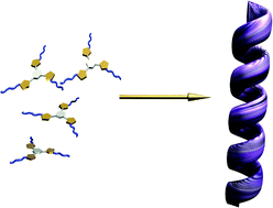 Graphical abstract: Self-assembly of tris(phenylisoxazolyl)benzene and its asymmetric induction of supramolecular chirality