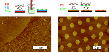 Graphical abstract: Patterning of surfaces with nanosized cellulosic fibrils using microcontact printing and a lift-off technique