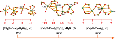 Graphical abstract: Temperature dependent charge distribution in three-dimensional homochiral cadmium camphorates