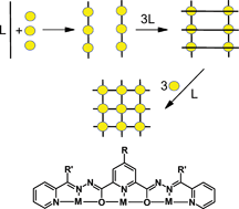 Graphical abstract: Ligand directed self-assembly of polymetallic [n × n] grids: rational routes to large functional molecular subunits?