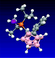 Graphical abstract: Influence of the solvent and R groups on the structure of (carboranyl)R2PI2 compounds in solution. Crystal structure of the first iodophosphonium salt incorporating the anion [7,8-nido-C2B9H10]−
