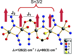 Graphical abstract: Low-dimensional copper(ii) complexes triply bridged with azide/carboxylate/DMSO showing very strong ferromagnetic interaction and influence of dipolar fields at low temperatures: a quantum Monte Carlo magnetic study
