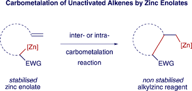 Graphical abstract: Carbometalation of unactivated alkenes by zinc enolate derivatives