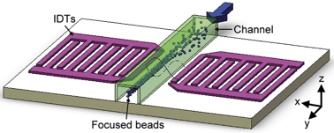 Graphical abstract: Focusing microparticles in a microfluidic channel with standing surface acoustic waves (SSAW)