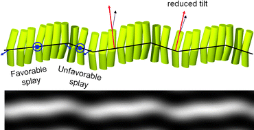 Graphical abstract: 2-D Density-modulated structures in asymmetric bent-core liquid crystals