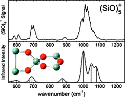 Graphical abstract: Vibrational spectra of small silicon monoxide cluster cations measured by infrared multiple photon dissociation spectroscopy