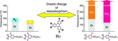 Graphical abstract: Drastic enhancement of discotic mesomorphism induced by fluorination of the peripheral phenyl groups in triphenylene mesogens