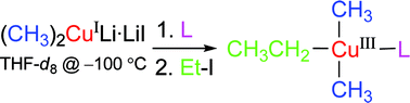 Graphical abstract: Neutral organocopper(iii) complexes