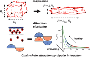 Graphical abstract: Strain induced clustering in polyelectrolyte hydrogels