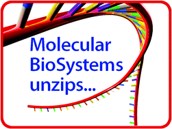 Graphical abstract: Molecular BioSystems spins out into 2008