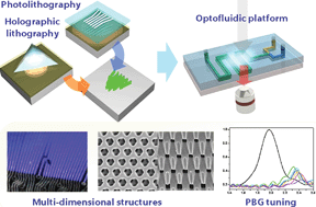 Graphical abstract: Holographic fabrication of photonic nanostructures for optofluidic integration