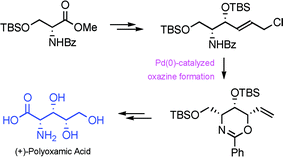 Graphical abstract: Stereoselective synthesis of (+)-polyoxamic acid based on the synthesis of chiral oxazine