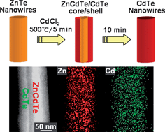 Graphical abstract: Transformation of ZnTe nanowires to CdTe nanowires through the formation of ZnCdTe–CdTe core–shell structure by vapor transport