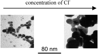 Graphical abstract: SERS-activating effect of chlorides on borate-stabilized silver nanoparticles: formation of new reduced adsorption sites and induced nanoparticle fusion