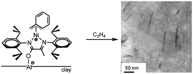 Graphical abstract: Highly dispersed clay–polyolefin nanocomposites free of compatibilizers, via the in situpolymerization of α-olefins by clay-supported catalysts