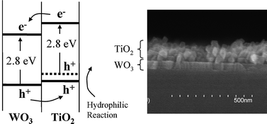 Graphical abstract: Visible light induced super-hydrophilicity on single crystalline TiO2nanoparticles and WO3 layered thin films
