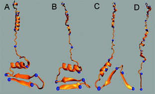 Graphical abstract: Conformational evolution of ubiquitin ions in electrospray mass spectrometry: molecular dynamics simulations at gradually increasing temperatures