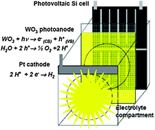 Graphical abstract: Metal oxide photoanodes for solar hydrogen production