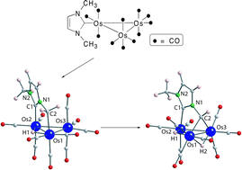 Graphical abstract: Activation of two C–H bonds of NHC N-methyl groups on triosmium and triruthenium carbonyl clusters