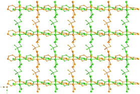Graphical abstract: Two- and three-dimensional divalent metal coordination polymers constructed from 2,2-dimethylsuccinate and dipyridylamine ligands