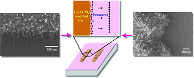 Graphical abstract: Efficient modification of Cu electrode with nanometer-sized copper tetracyanoquinodimethane for high performance organic field-effect transistors