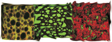 Graphical abstract: The science of food structuring