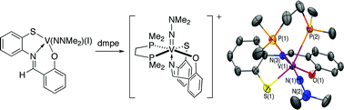 Graphical abstract: Vanadium(V) hydrazido(2−) thiolate imine alkoxide complexes