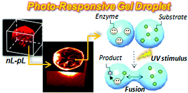 Graphical abstract: Photo-responsive gel droplet as a nano- or pico-litre container comprising a supramolecular hydrogel
