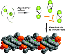 Graphical abstract: First direct assembly of molecular helical complexes into a coordination polymer