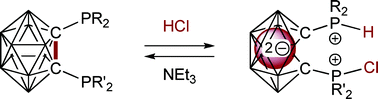 Graphical abstract: A simple entry into nido-C2B10clusters: HCl promoted cleavage of the C–C bond in ortho-carboranyl diphosphines