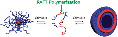 Graphical abstract: RAFT-synthesized diblock and triblock copolymers: thermally-induced supramolecular assembly in aqueous media